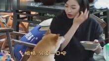 娱乐八卦视频哪里看,这些视频平台让你一网打尽最新热点
