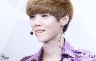 明星排行榜,璀璨星光闪耀娱乐圈