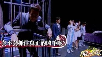 明星大侦探第九季,悬疑升级，明星侦探团再战迷雾之谜